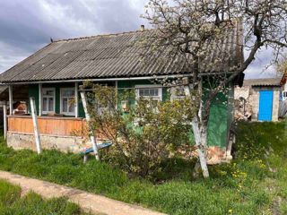 Casa de locuit cu tot cu gospodărie în satul Negrești și +50 de ari terenuri agricole foto 2