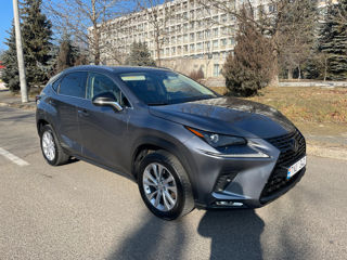 Lexus NX Series