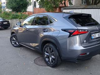 Lexus NX Series foto 3