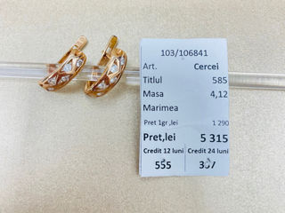 Cercei  Proba 585, 4120 lei