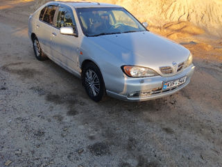 Nissan Primera foto 5