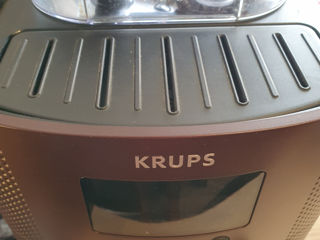 Krups foto 2