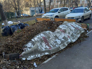 Услуги по уборке территории foto 7