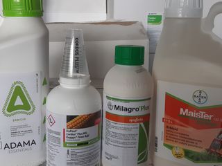 Erbicid la Porumb si Rasarita reduceri foto 0