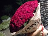 101 trandafiri de la 2500 lei .Flori angro , foto 7