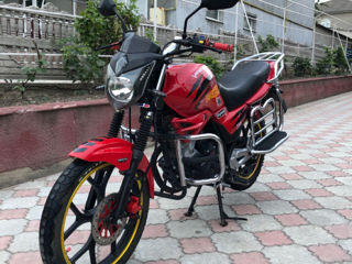 Viper 250