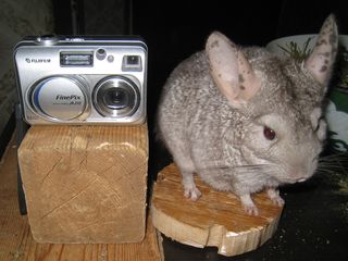 Цифровой фотоаппарат "FujiFilm FinePix A210" и фотоэкспонометр "Ленинград-2" (СССР) foto 1