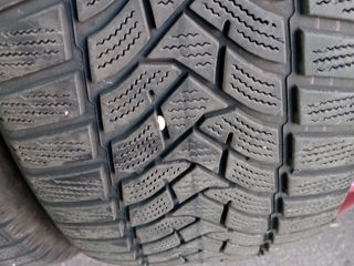 215 55 R17 Dunlop Winter Sport 5 foto 5