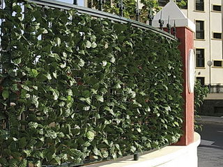 Gard viu artificial.Искусственный зеленый забор. foto 12
