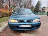 Nissan Primera foto 2