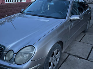 pese mercedes e clas foto 3