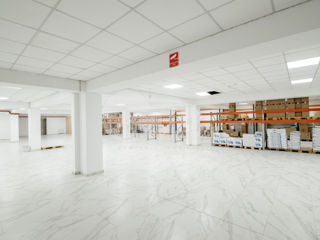 Spațiu comercial, 1700 mp, Botanica, Negociabil ! foto 13