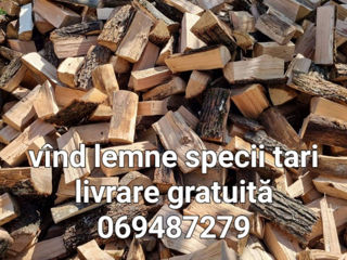 Lemne de foc specii tari uscate  stejar carpăn livrarea gratis ori unde preț real!