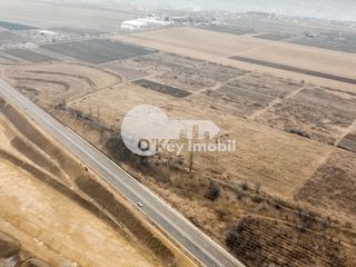 Teren agricol, 436 ari, Cojușna, 235000 € foto 6