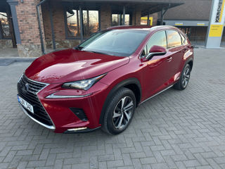 Lexus NX Series