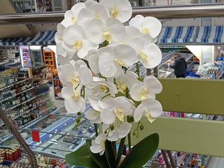 Искусственные цветы орхидея для домашнего декора./Flori artificiali foto 4