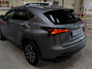 Lexus NX Series