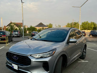 Ford Escape, 2024