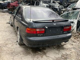 Honda Accord foto 4