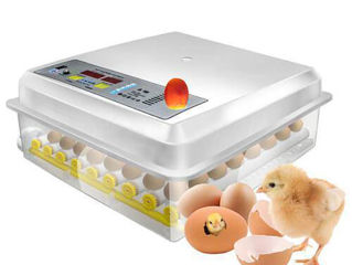 Incubator DZE-64 NEW/220 V sau 12V/ouă: găină, rață, gâscă, prepeliță, curcan, fazan, potârniche