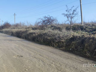 Se teren destinat pentru construcție, Dumbrava! foto 4