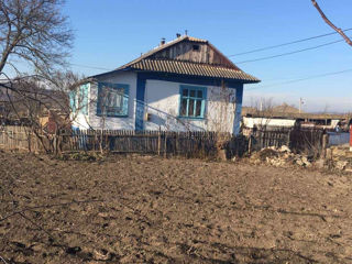 Se vinde gospodarie in satul Chetrosu, Raionul Drochia. Nu departe de Biserica din centru foto 4