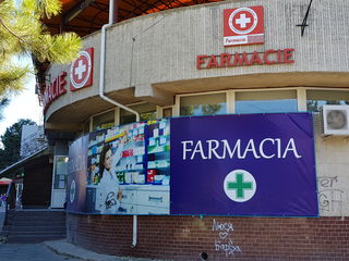 Farmacie sau alt spațiu comercial - Botanica foto 1