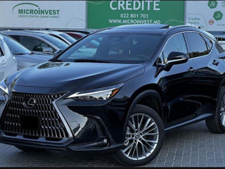 Lexus NX Series