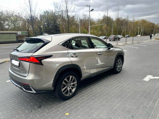 Lexus NX Series foto 4