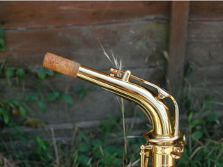 Saxofon Alto Trevor J.James & Co The Horn Revolution II foto 3