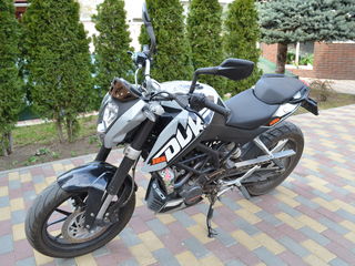 KTM Duke foto 7