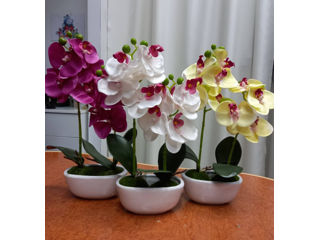Орхидея искусственная. Цветет круглый год! foto 1