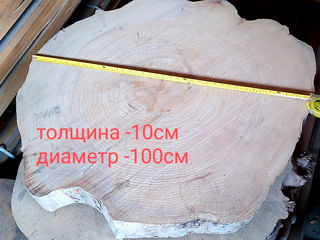 Продам слэбы из древесины тополь и вязь. диметр 0.95м-1м foto 4