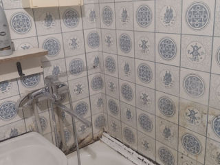 1-комнатная квартира,  Центр,  Яловены,  Яловены фото 1