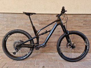 Canyon Spectral carbon