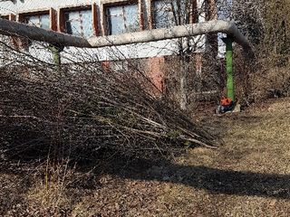 Curatarea terenuri teritorii Уборка территорий foto 2