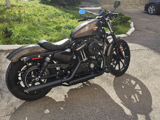Harley - Davidson Sportster IRON 883 foto 4