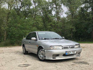 Nissan Primera foto 6