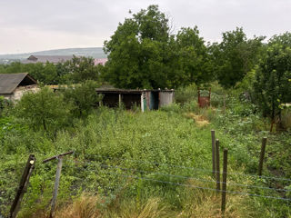 Vand casa in satul Suhuluceni foto 10