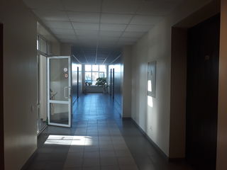 Oficii in sectorul Ciocana, 30 - 40 m2, prima linie foto 1