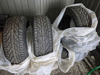 215/55 R17 Iarna (зима) foto 4