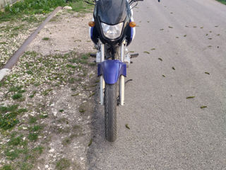 Motomax foto 1