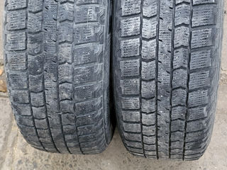 Premitra Maxxis 205/60/16