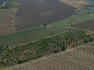 Teren agricol 4,87 ha Orhei, com.Pelivan foto 3