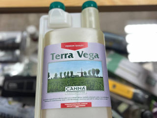 Terra Vega, Canna, беспечивает растениям сильное развитие с крупными жизненными побегами