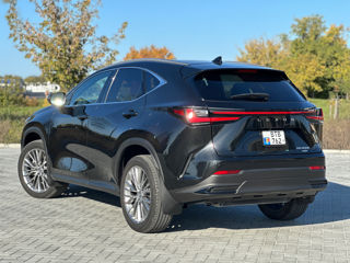 Lexus NX Series foto 6