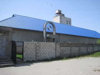 Complexul de producere în r-nul Ștefan Vodă, s. Carahasani foto 10