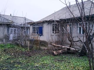 Продаю дом в г. Сынжерей. Vind casa in or. Sîngerei (Lazovsk) foto 4