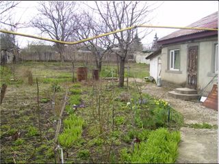 Se vinde casa in Cricova ,pe 4 sote de pamint . foto 2