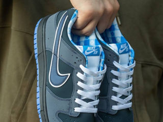 Nike SB Dunk Blue Lobster foto 3